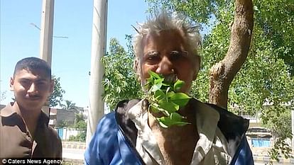 Pakistani man, 50, is addicted to eating TREES FOR 25 YEARS 