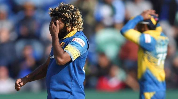 Srilanka cricket player lasith malinga compare his minister with monkey after criticism  