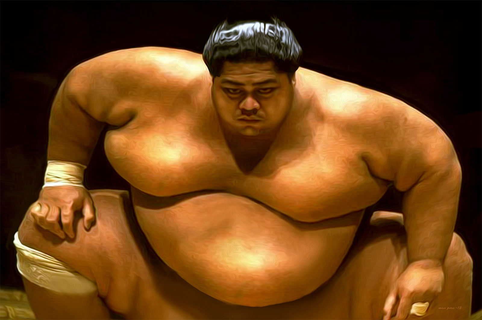 know interesting fact about Sumo