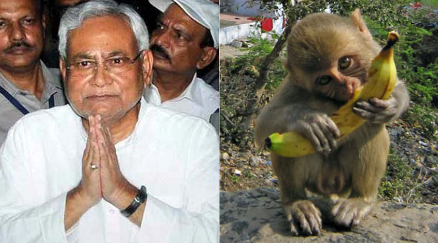 #NitishGharWapsi : for a short while Nitish Kumar resignation becomes golden period for these people