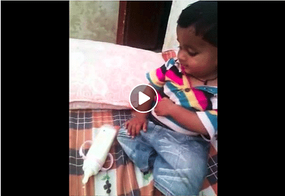  Parrot and baby friendship video goes viral on internet 