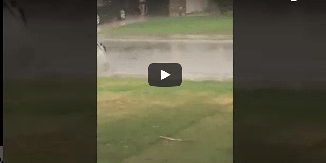 Viral Video: Man clean his car during storm