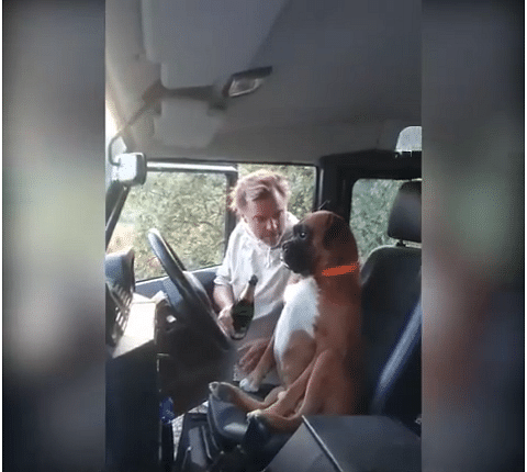 Man giving his DOG a lesson in DRUNK DRIVING video going viral