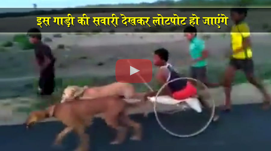 Newly invented Dog Cart may provide jobs to dogs, Here is a Viral Video