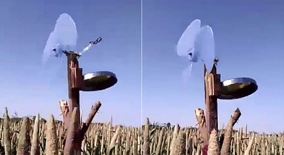 This ‘jugaad’ scarecrow using a steel plate is making laugh to everyone 