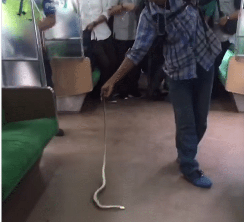 Indonesian guy become hero on social media who trap snake in train