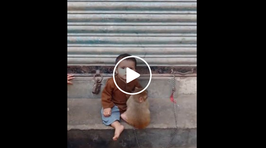 This Monkey and Cute Little Kid friendship Video Goes Viral