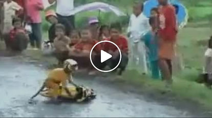 Monkey Riding Bike in Dhoom Style And People Go Crazy