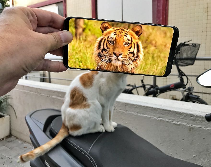  artist made funny photos with the help of smart phone 