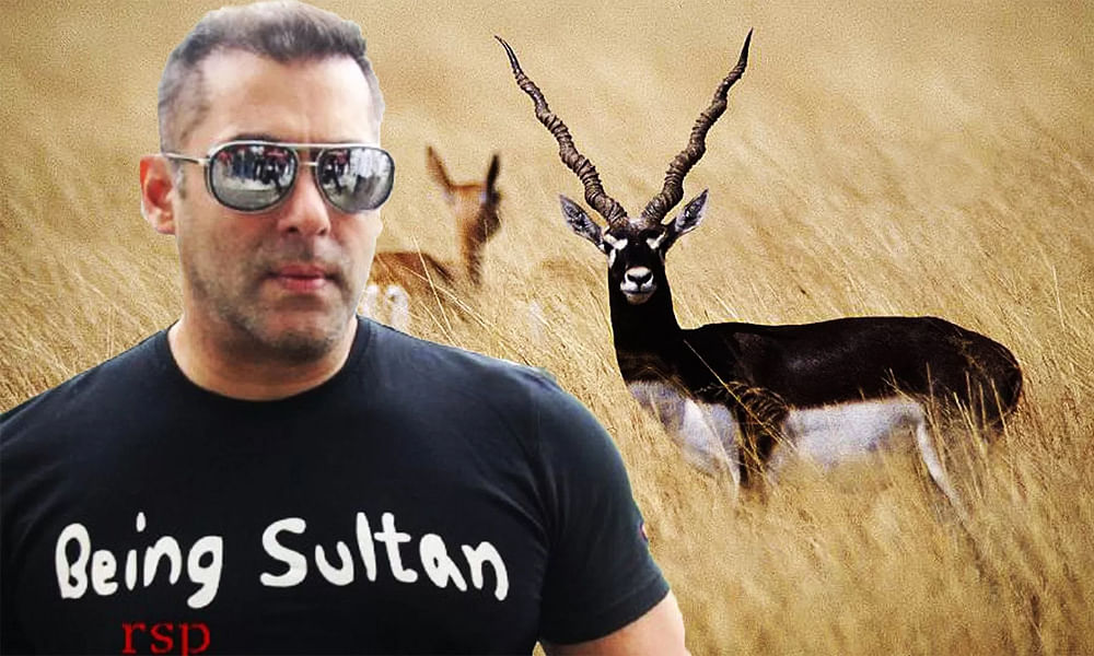 salman khan found guilty in black buck poaching case social media reactions