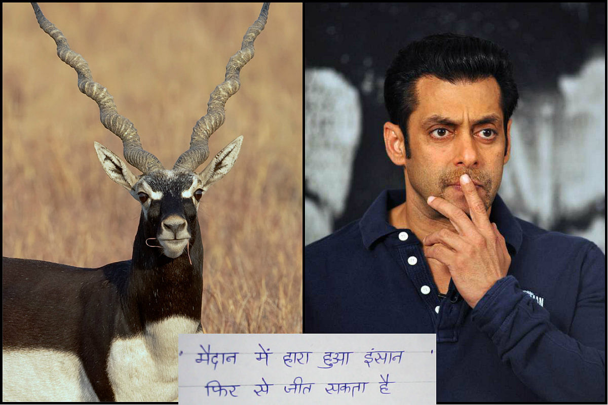 black bucks wrote an open letter to Salman Khan and Bollywood 