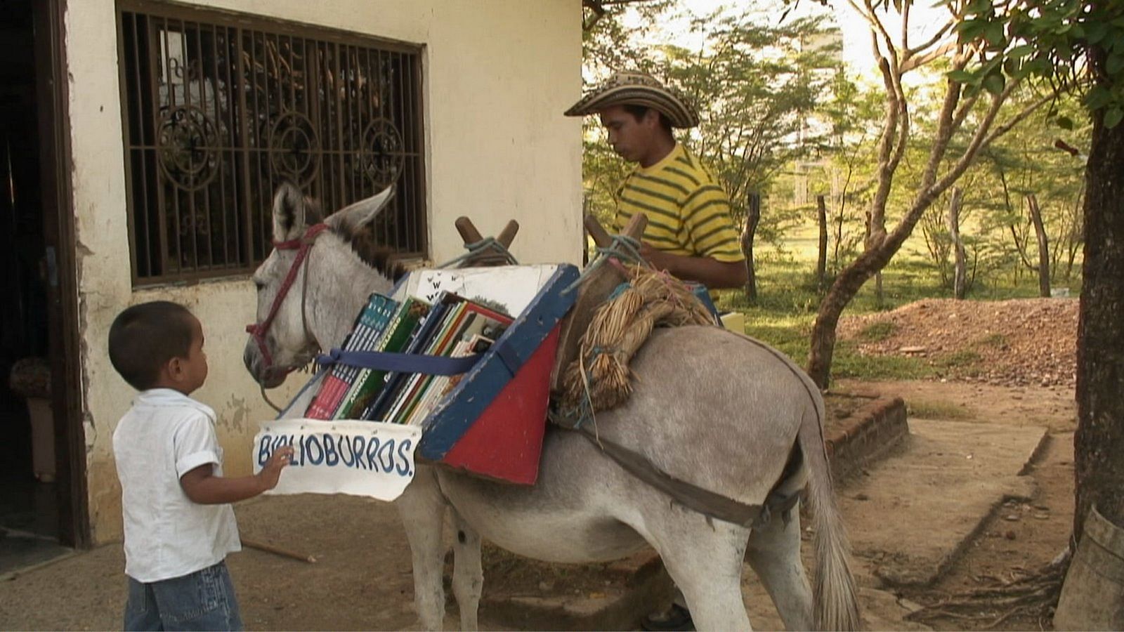 Guy in Colombia manage library on donkey, Now he became world famous 