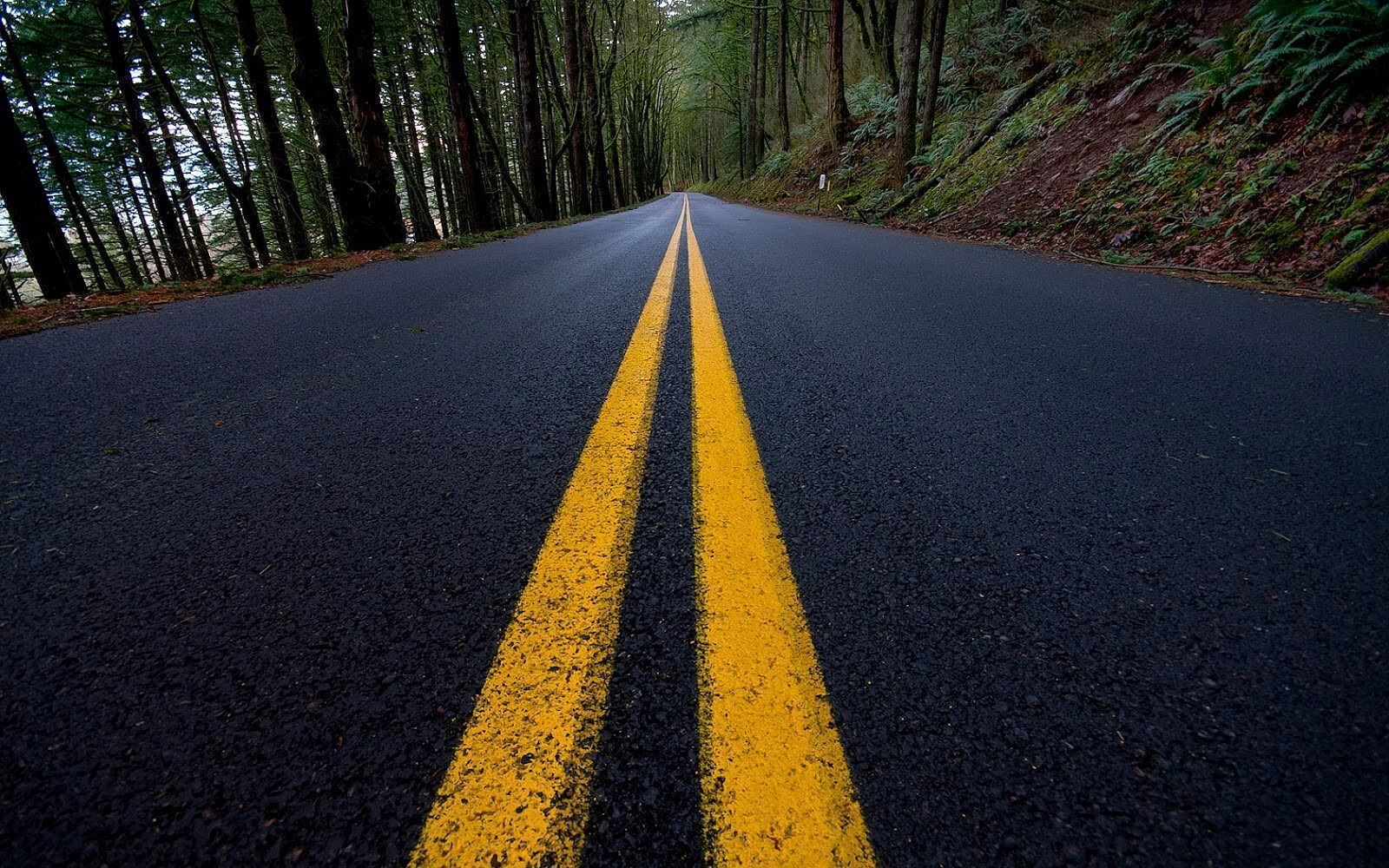 meaning of yellow and white lines on the road