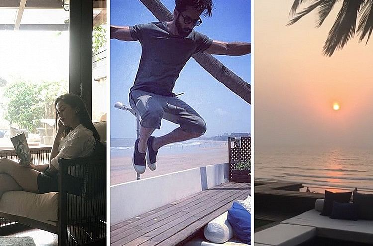 see inside pics of shahid kapoor house and know about new home