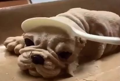 This Taiwan Cafe Is Selling Puppy Ice Cream While The Video
