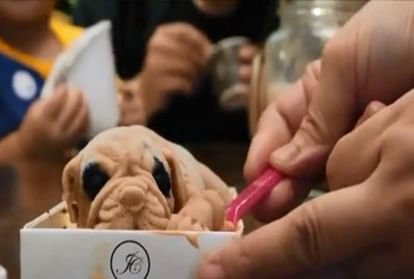 This Taiwan Cafe Is Selling Puppy Ice Cream While The Video