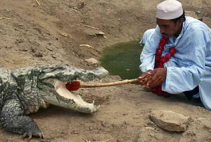 Know the crocodile shrine of pakistan