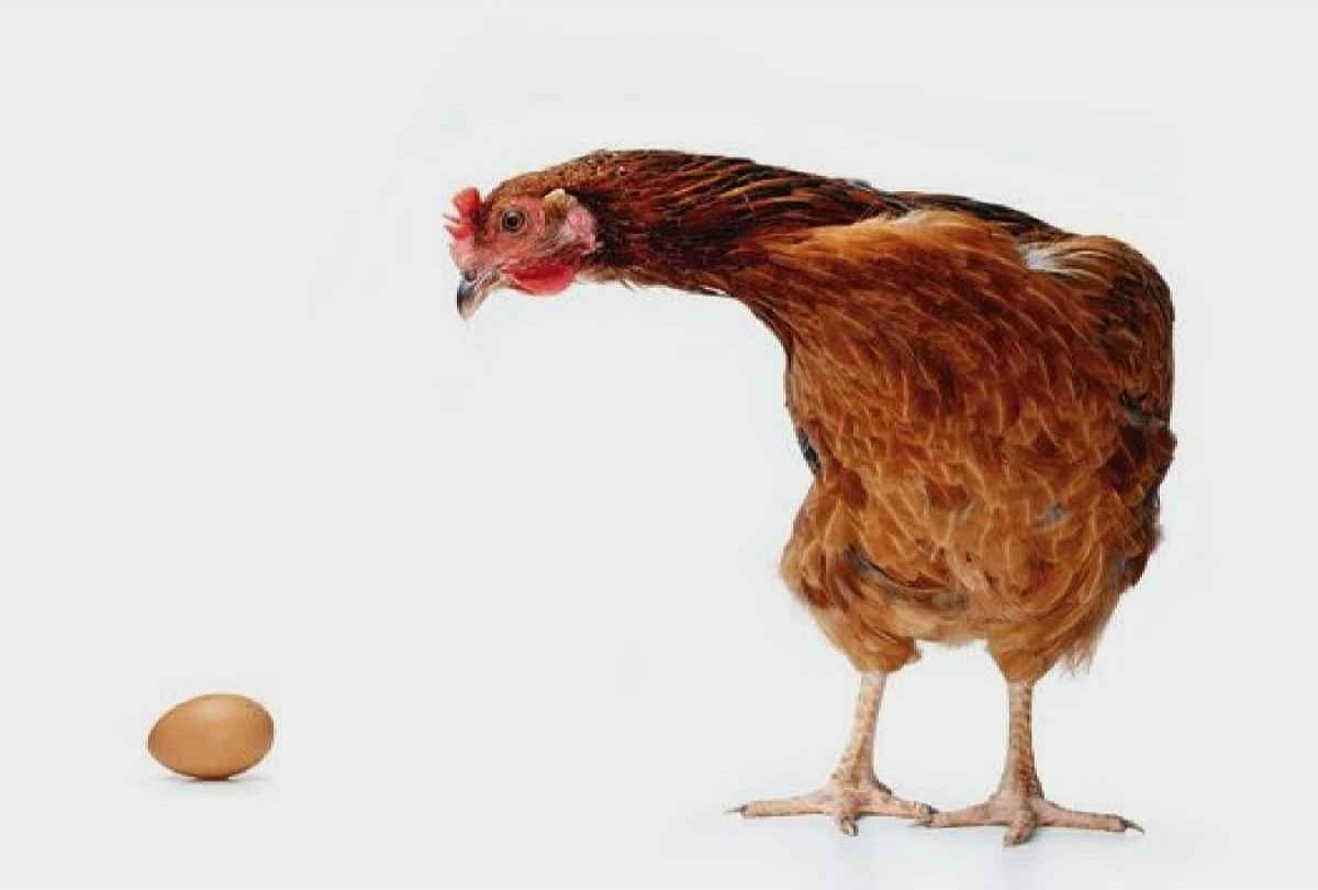 Facts about eggs you didn not know