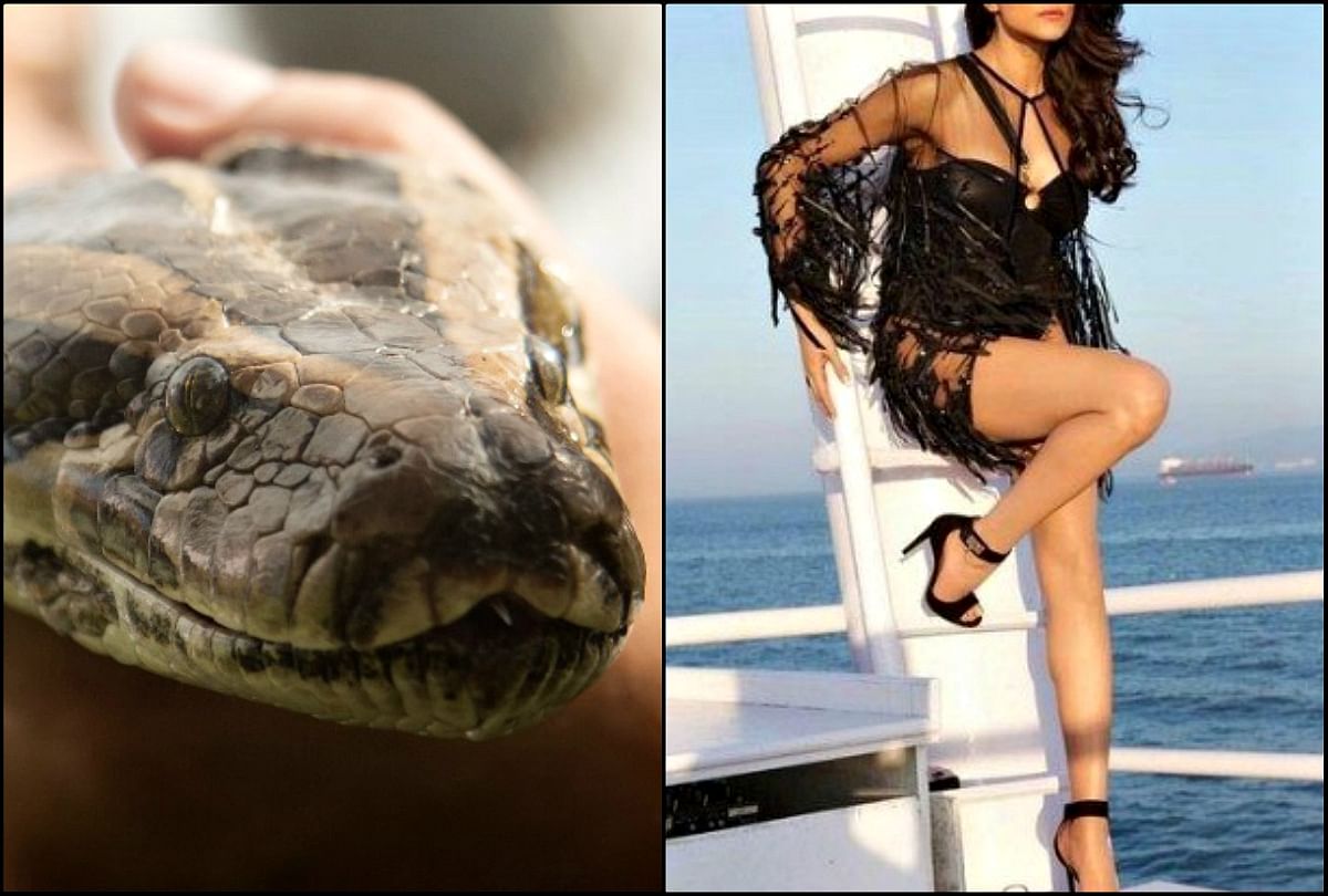 Bollywood Actress and Ex Miss Universe has pet python