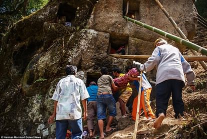 Indonesian community gives honour their Ancestors dead body after digging them