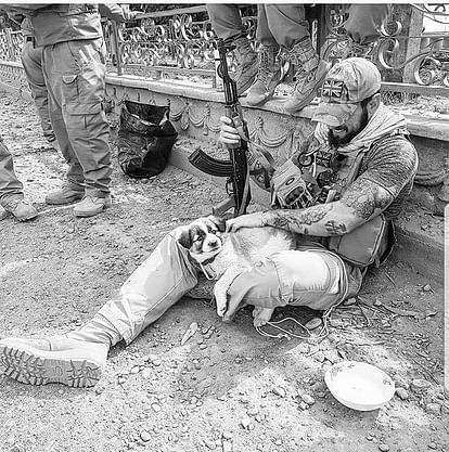 soldier saves a puppy during operation