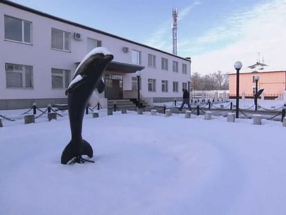 Most dangerous prison of world is Black dolphin situated in Russia see photos