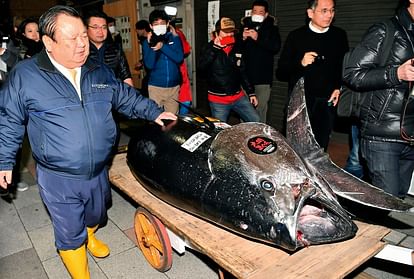 Japanese sushi restaurant chain sushi zanmai president Kiyoshi Kimura buy tuna fish in 21 crore