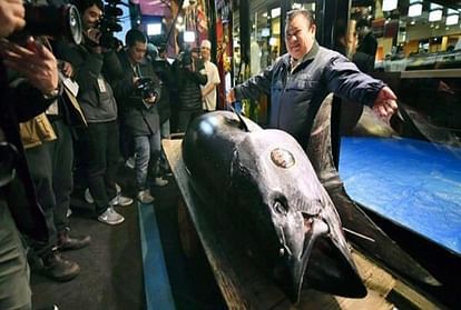Japanese sushi restaurant chain sushi zanmai president Kiyoshi Kimura buy tuna fish in 21 crore