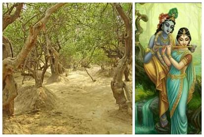 mystery of nidhivan vrindavan read radha krishna story