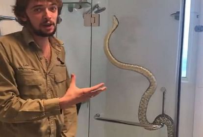 family finds python taking shower in their bathroom in australia southern queensland video viral