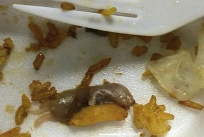 china greedy man put rat in restaurant food