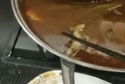 china greedy man put rat in restaurant food
