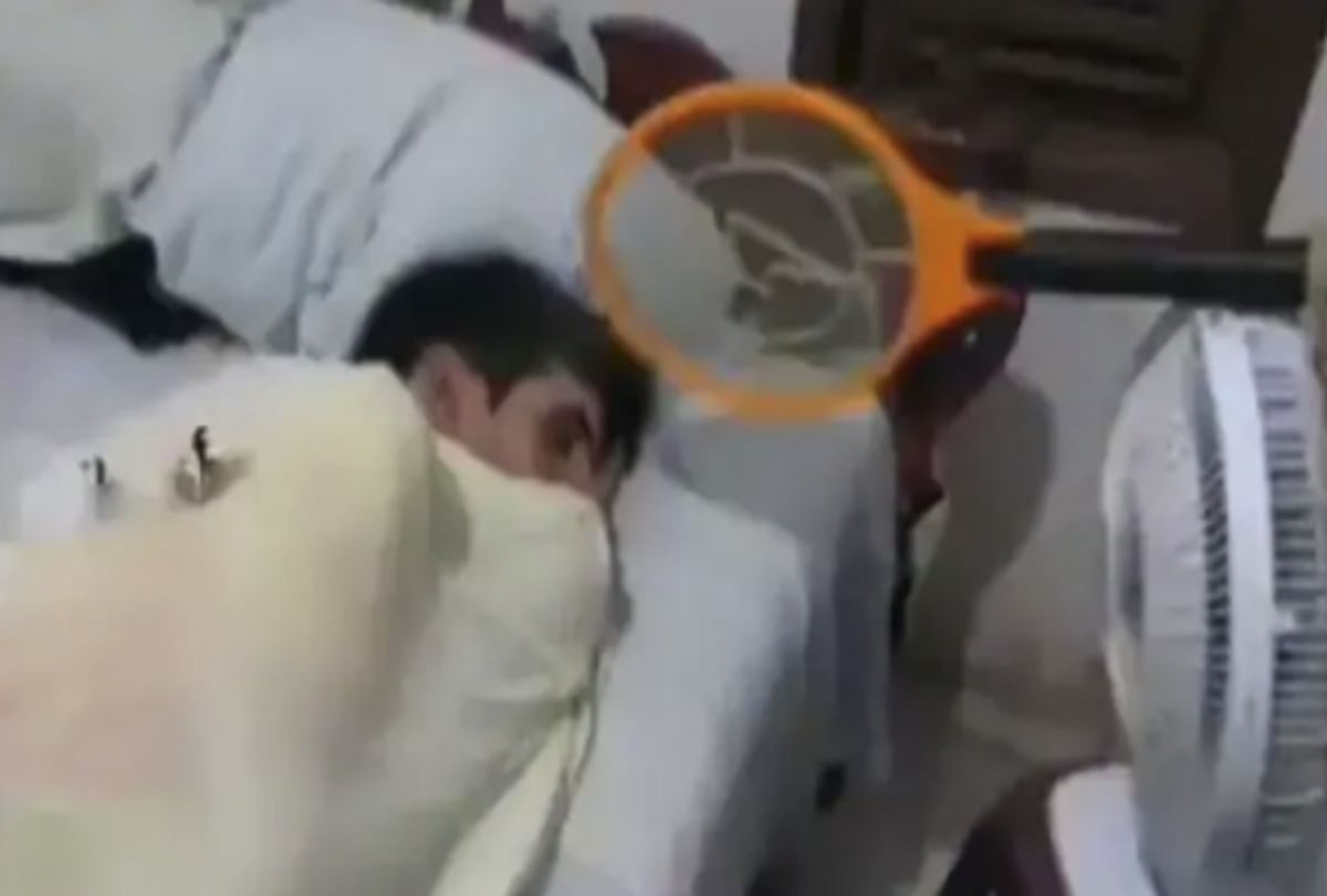 man attach mosquito bat to table fan video is viral