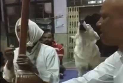 पुणे के मंदिर में कुत्ता गाता है भजन