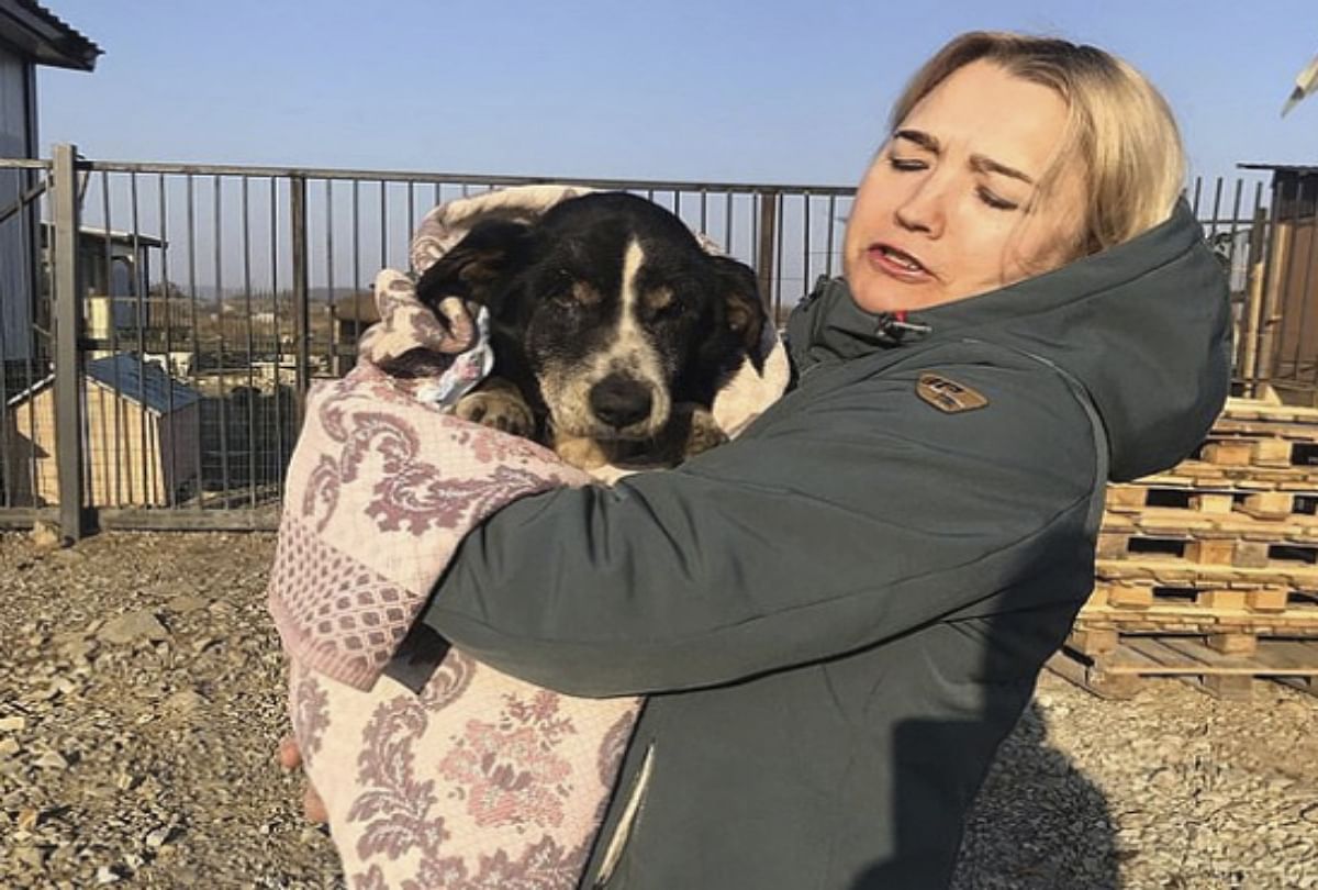 russian dead dog return home