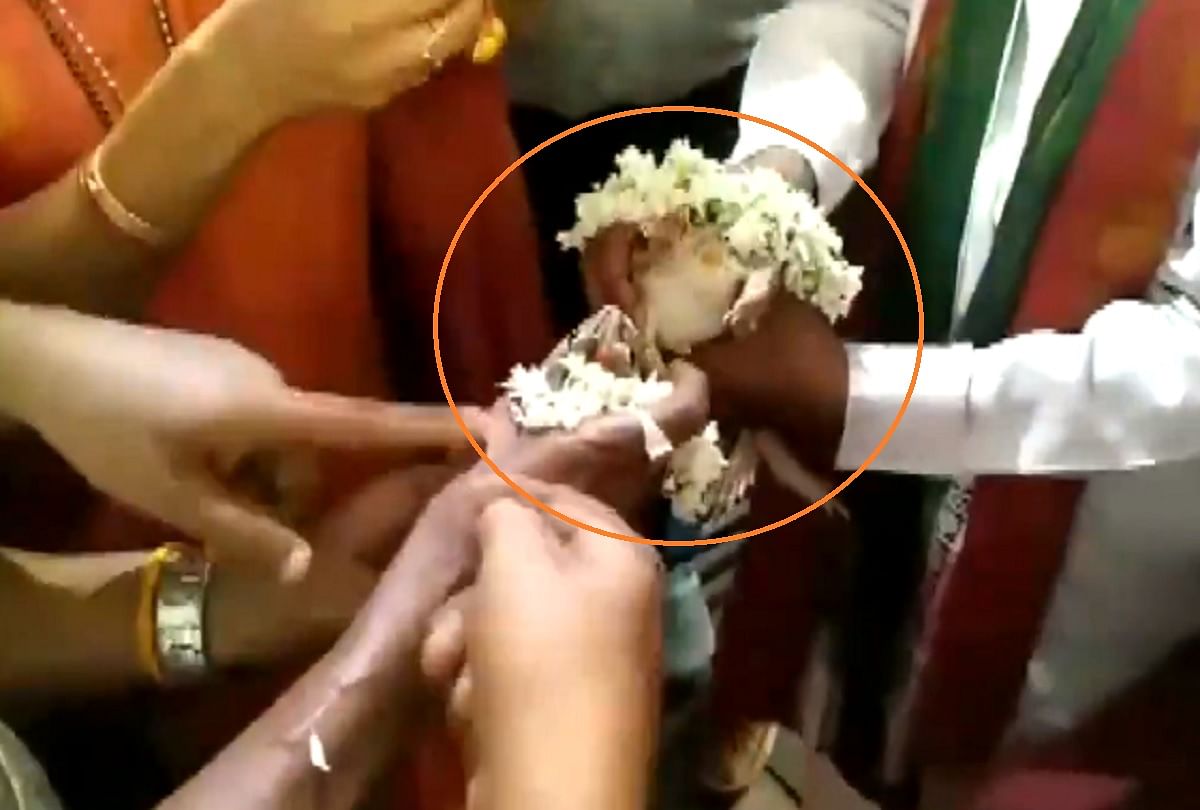 Frogs married in Udupi Karnataka to please the rain gods video viral