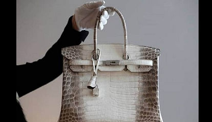 hermes birkin handbag become World's second most expensive handbag