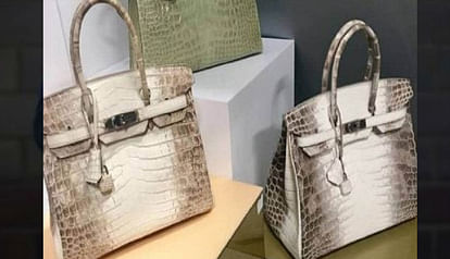 hermes birkin handbag become World's second most expensive handbag