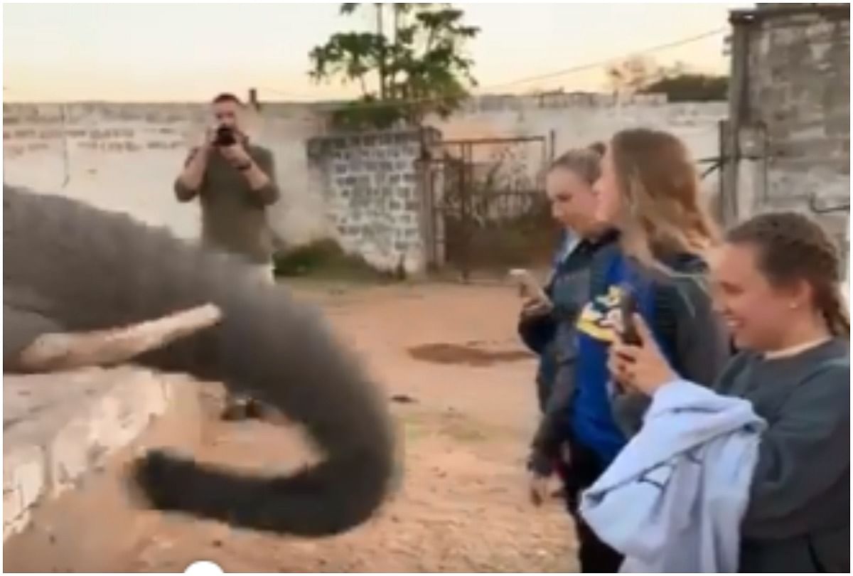 elephant attack on this girls while taking selfie without permission
