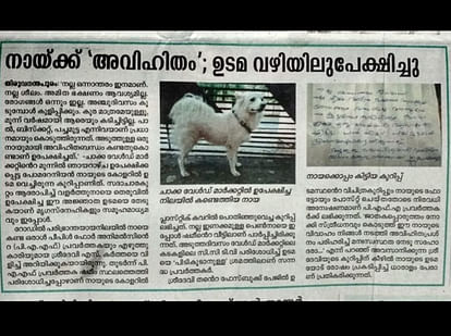 kerala pomeranian dog abandoned by owner for having illicit relationship