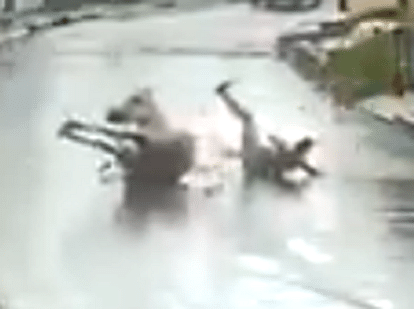 viral video of horse accident due to rain