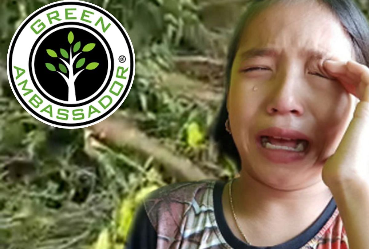 9 year manipuri girl become green ambassador in manipur