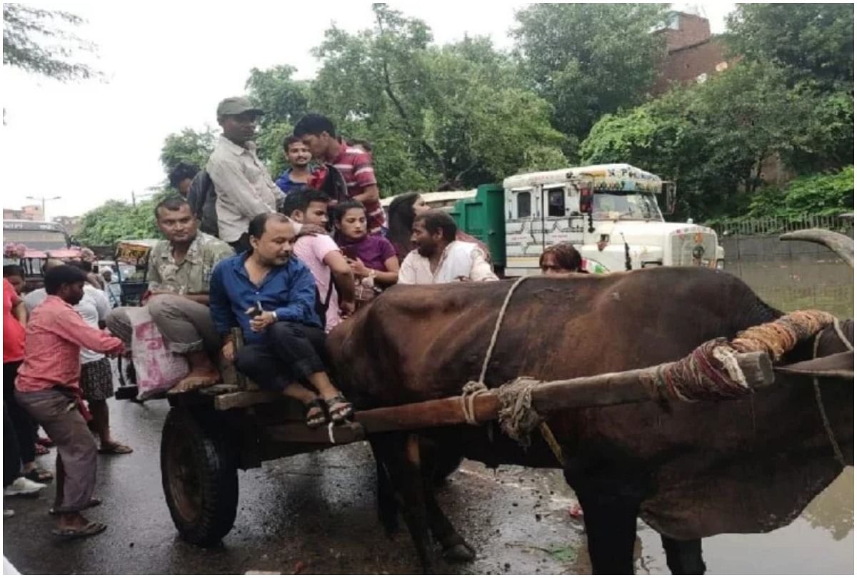 aterlogged in delhi due to rain people using bullock cart to cross the road