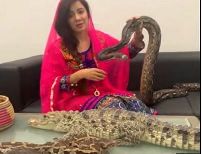 viral video of rabi pirzada who plays with snake threatens to attack indians narendra modi