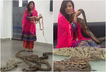 viral video of rabi pirzada who plays with snake threatens to attack indians narendra modi