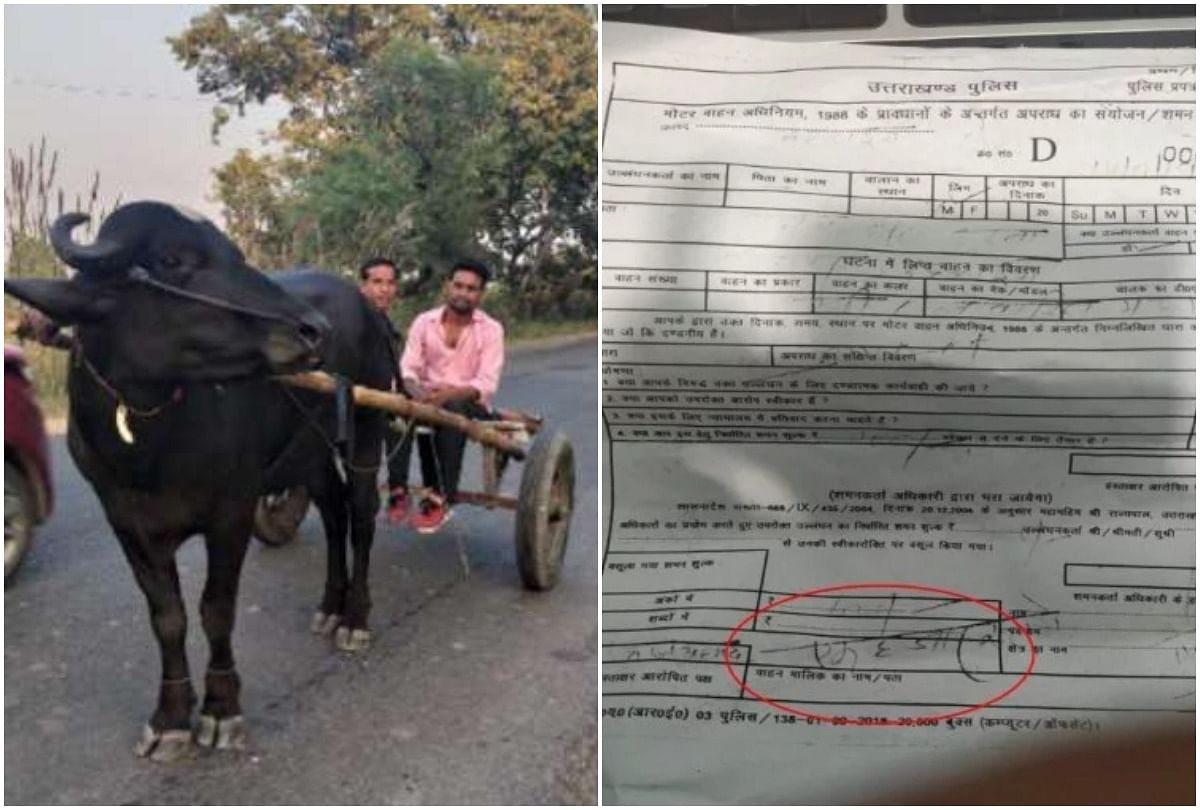 uttarakhand police cut buffalo cart challan