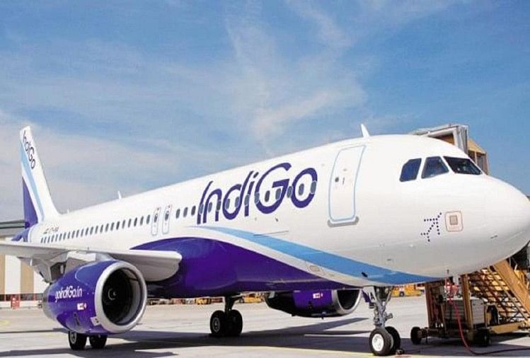 indigo airlines forgets luggage of entire flight social media
