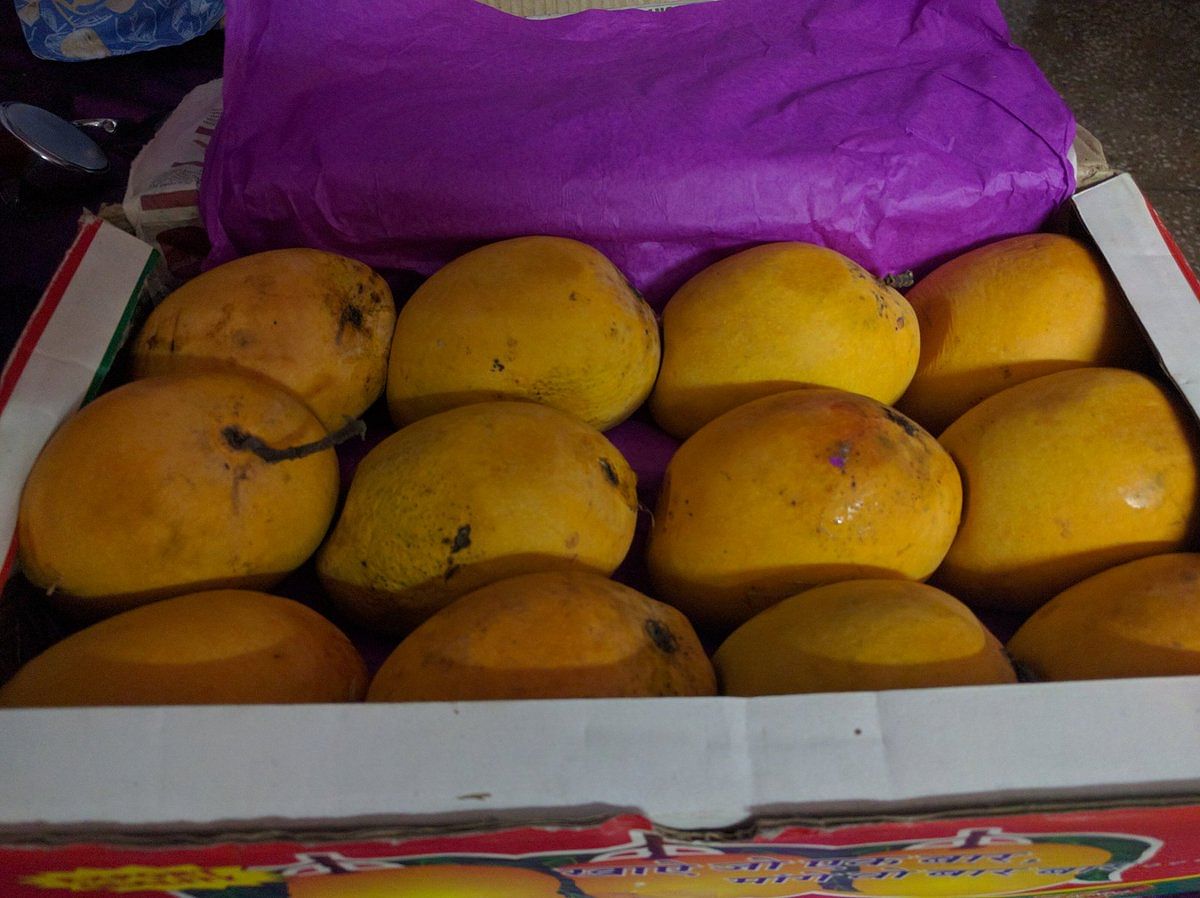 dubai Airport staff steals two mangoes from passenger luggage now Faces trial in court