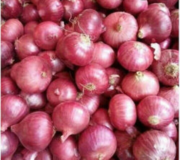 onion price hike in india thieves start onion theft