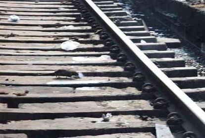 indian railway spend more than 22 thousand rupees spent on catching a rat